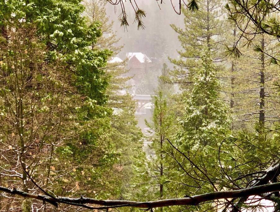 Glimmer Chalet Treetop A-Frame Cabin Lake View Lake Arrowhead Eksteriør bilde