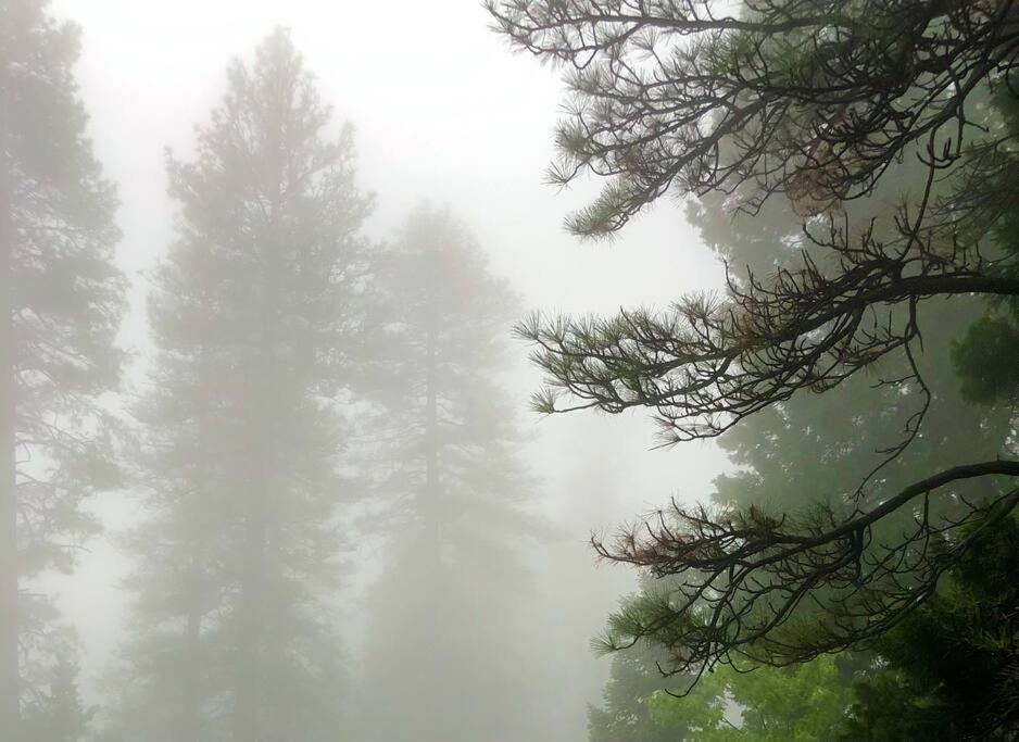 Glimmer Chalet Treetop A-Frame Cabin Lake View Lake Arrowhead Eksteriør bilde