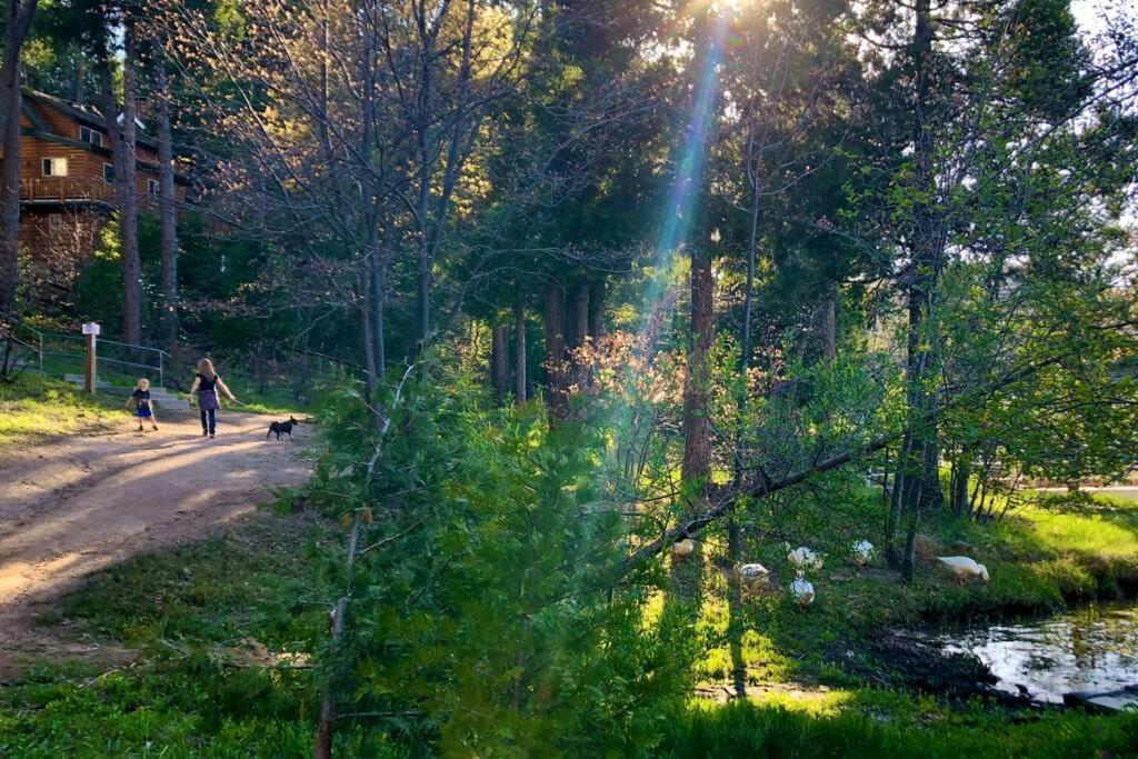 Glimmer Chalet Treetop A-Frame Cabin Lake View Lake Arrowhead Eksteriør bilde